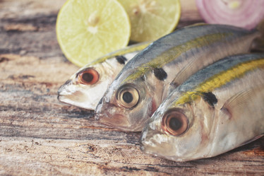 Similar image 9462942