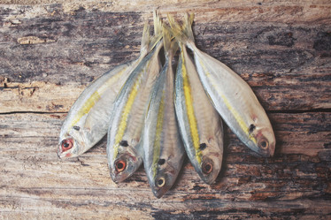 Similar image 9462943