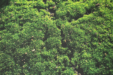 Similar image 9462945