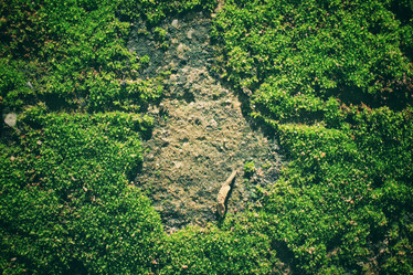 Similar image 9462948