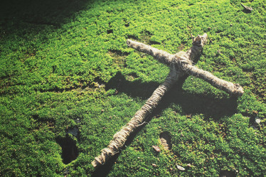 Similar image 9462952