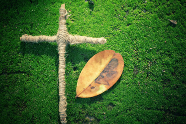 Similar image 9463064