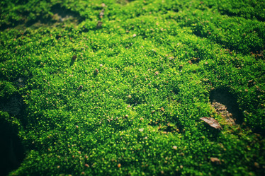 Similar image 9463068