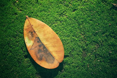 Similar image 9463073