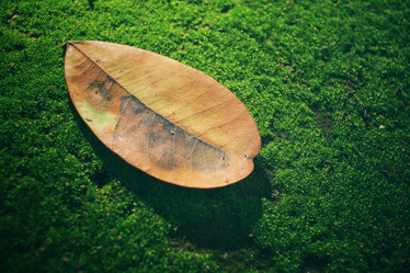 Similar image 9463074