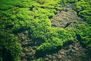 Similar image 9463080