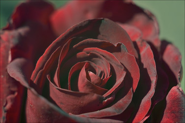 Similar image 9463091