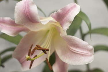 Similar image 9463198