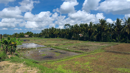 Similar image 9463410