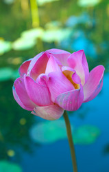 Similar image 9463412