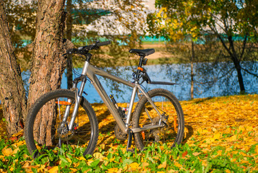 Similar image 9466221