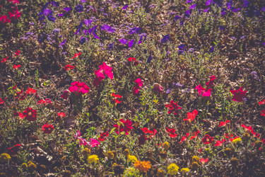 Similar image 9467262