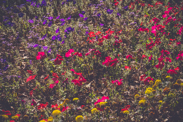 Similar image 9467263