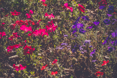 Similar image 9467266