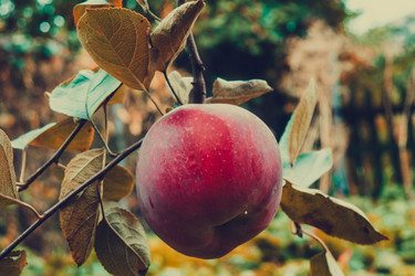 Similar image 9467268