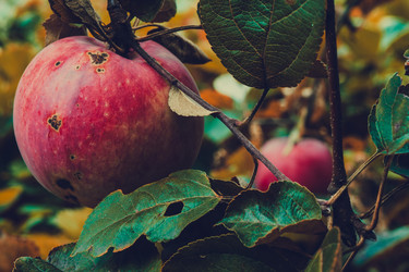 Similar image 9467277