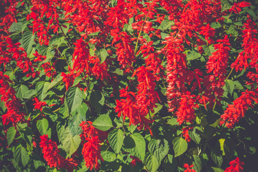 Similar image 9467280