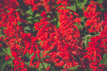 Similar image 9467289