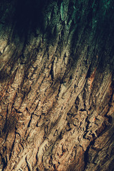 Similar image 9467449