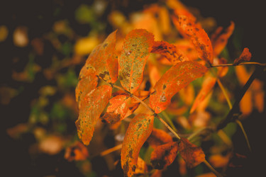 Similar image 9467546