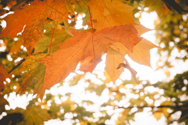 Similar image 9467549