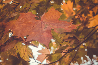 Similar image 9467551