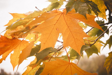 Similar image 9467553