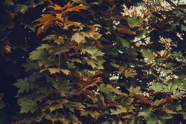 Similar image 9467558