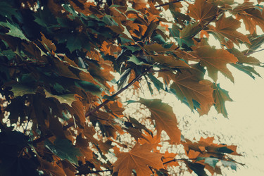 Similar image 9467563