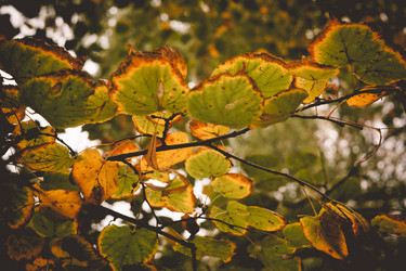 Similar image 9467568