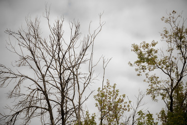 Similar image 9467571