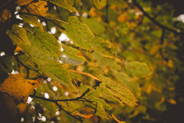 Similar image 9467573