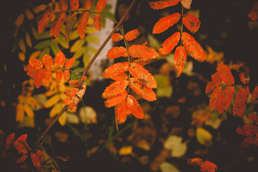 Similar image 9467576