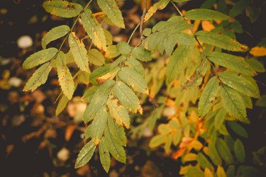 Similar image 9467578