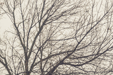 Similar image 9467581