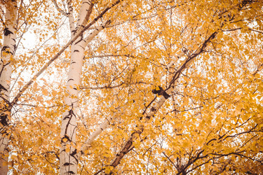 Similar image 9467583