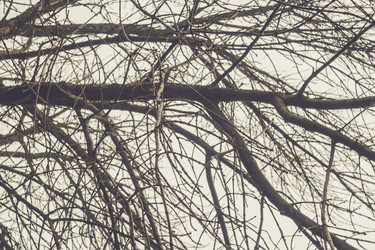 Similar image 9467635