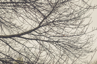 Similar image 9467638