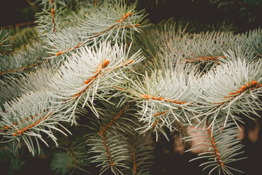 Similar image 9467645