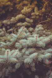 Similar image 9467648