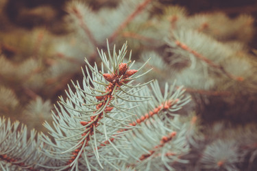 Similar image 9467652