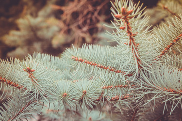 Similar image 9467659