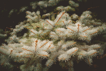 Similar image 9467661