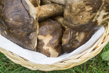 Similar image 9467664