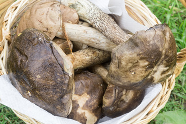 Similar image 9467668