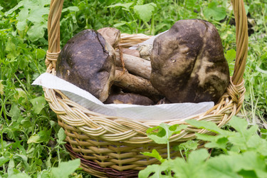 Similar image 9467673