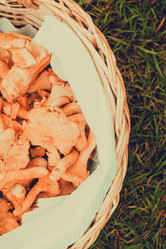 Similar image 9467748