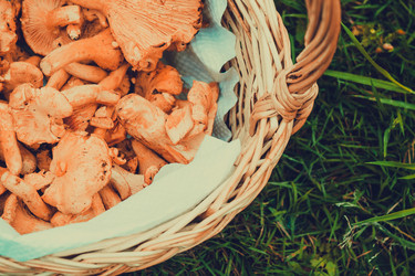 Similar image 9467750