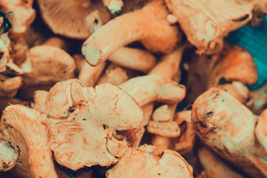 Similar image 9467752