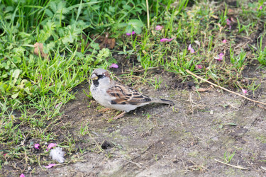 Similar image 9467769